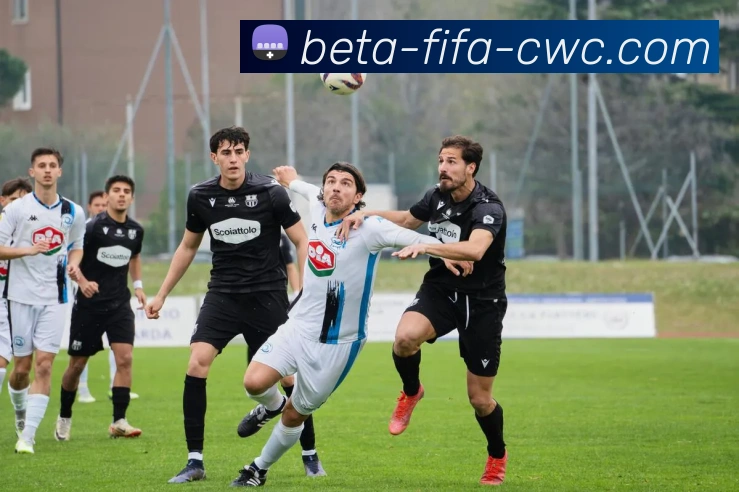 高赔率发展历程